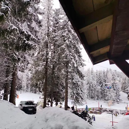 Sa Terasom Mina Kopaonik