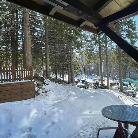 Sa Terasom Mina Appartement Kopaonik